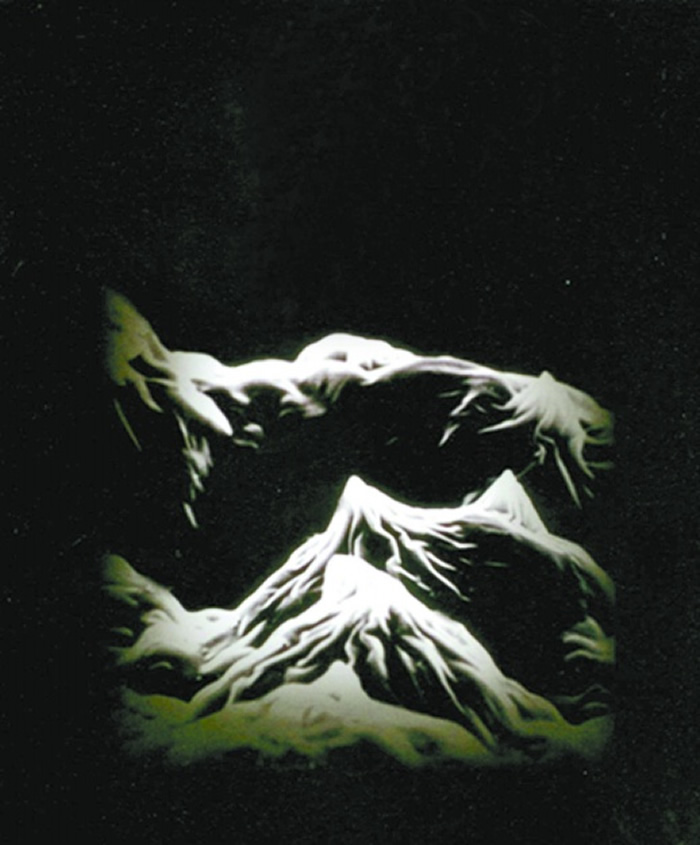 ��΢���µ�˫����ͻ״ˮ��ֲ����д��ͼƬ��