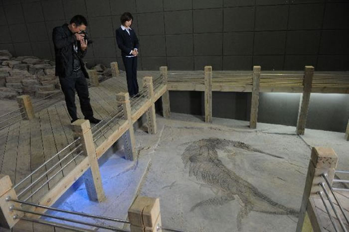 ����ʡ��˳�й��벼�����������������������������2.2����ǰ�����������