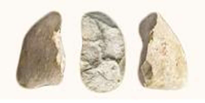 �������Ŷ����ϳ´���ַ�з��ֵ�һ��ʯ������ͬ���棩