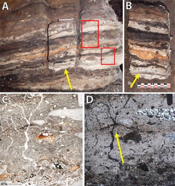 《人类进化杂志》:南非克拉西斯河洞穴发现现代人在12万年前就已食用植物淀粉