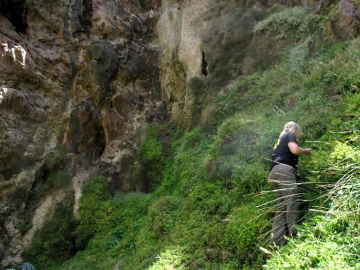 《人类进化杂志》:南非克拉西斯河洞穴发现现代人在12万年前就已食用植物淀粉