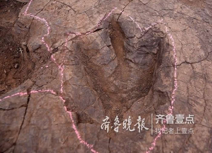 ɽ��ʡ������۰������ׯ������㼣��ʯ����ʧ ����ϣ���п����̲��뱣��