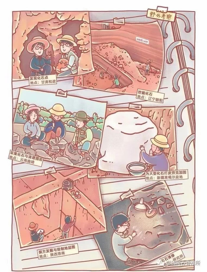 中国科学院古脊椎动物与古人类研究所90周年大事记