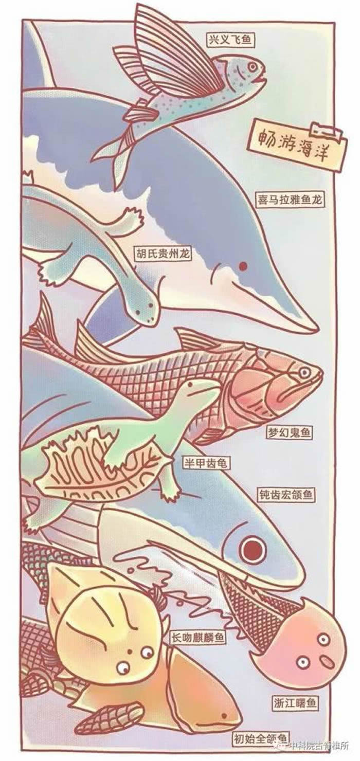 中国科学院古脊椎动物与古人类研究所90周年大事记