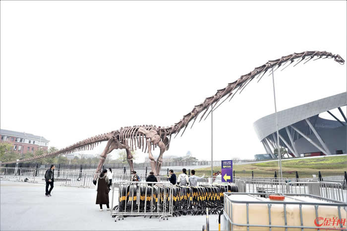 ��������ʯ