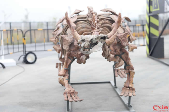 ������ԭ����ʯ