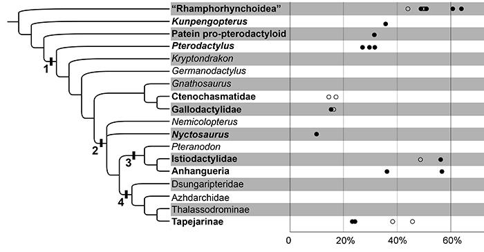 �����ݻ���������ǳ������ͷ�ǳ����𽥱�̡�
