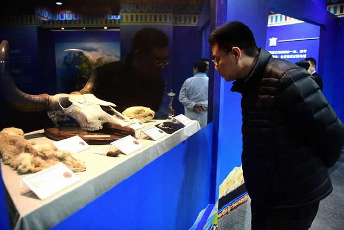 ��ѩɽ�µ�Զ�����硪����ظ�ԭ������ƿ��ɹ�չ�����й��Ŷ���ݿ�Ļ