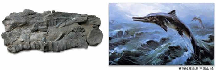 1966���ڵڶ��������������ڼ䣬����ռ���������ź�ʦ���ҵ���ϲ����������