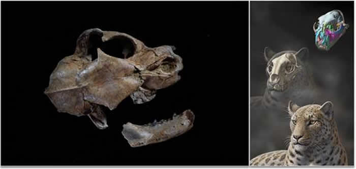 ѩ��֮�桪�����ϱ�