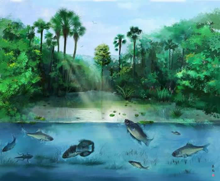 �ر��Ž��ͻ�ʯȺ