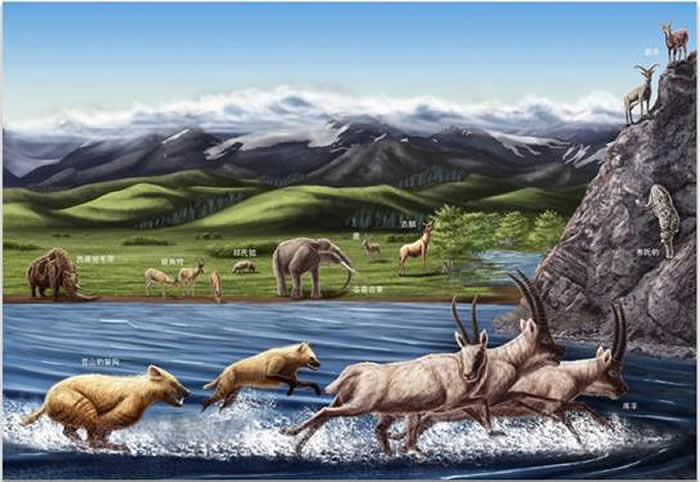 �������ﶯ��Ⱥ