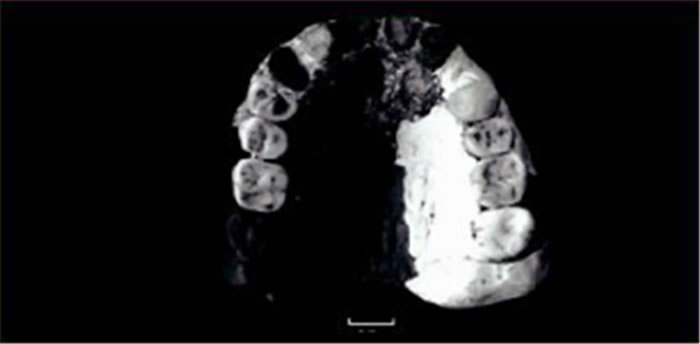 ��ɽ��������