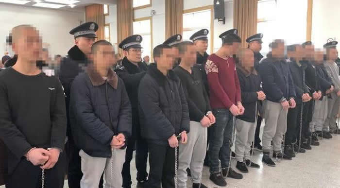 榆林市榆阳区首例盗掘古脊椎动物化石案公开宣判 12人被判刑