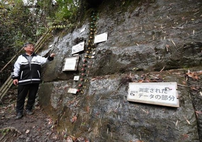 77����ǰ��ǧҶ�ڡ���������״����ձ����������ĵ������