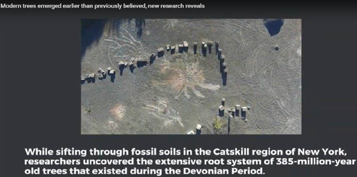 ����ŦԼ���ַ���ȫ�������ɭ�� �ɽ������Ǩ֮��