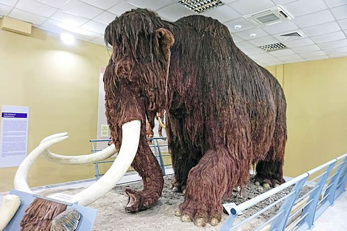 �о���Ա��ʵ�����и�����������Ļ��� ���Ⲣ����˵���������������������