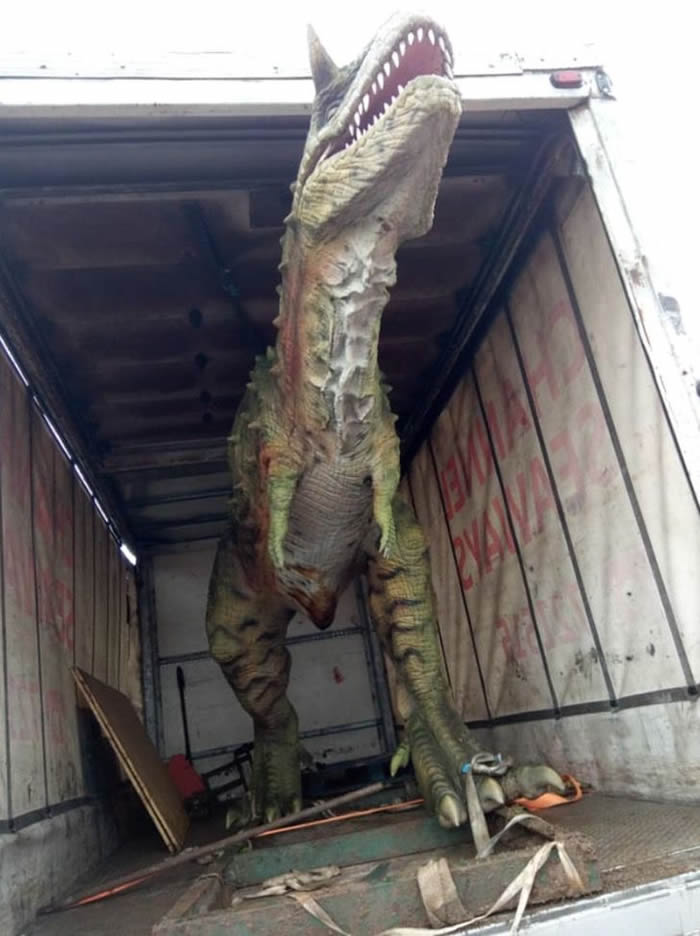 Ӣ�����������������ģ���Ͷ��� ˭��ţ������6�׳�