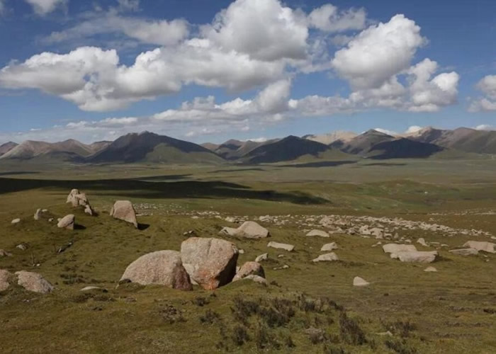 ��ظ�ԭ�״η��ֲʻ���ӡ�һ� ����ʷǰʱ��