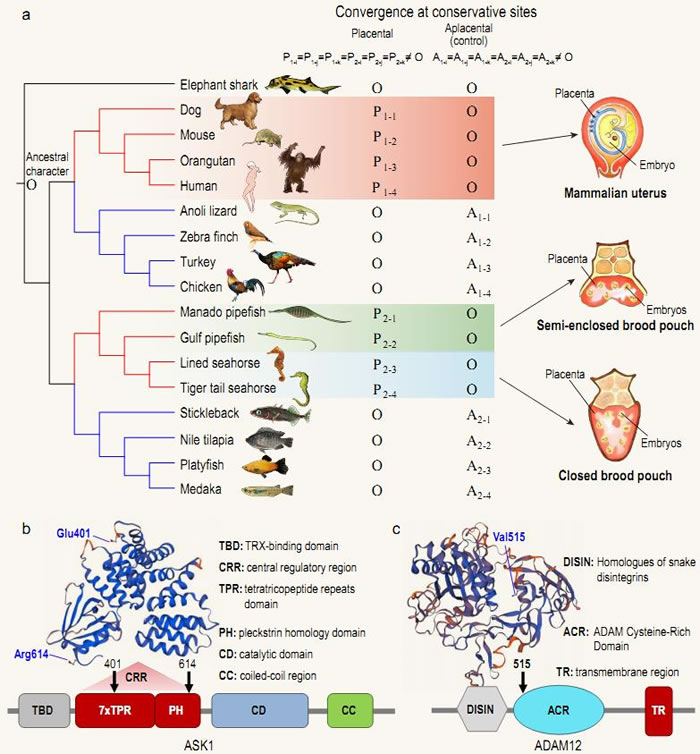 ������������̥�����鶯��̥�̵���ͬ��������
