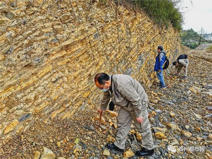 ���ݹ������ҹ����ڳ����������ﻯʯ