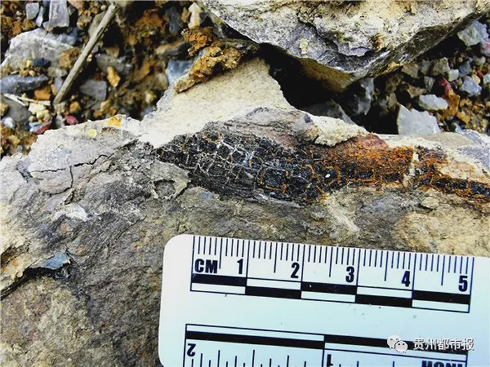 ���ݹ������ҹ����ڳ����������ﻯʯ