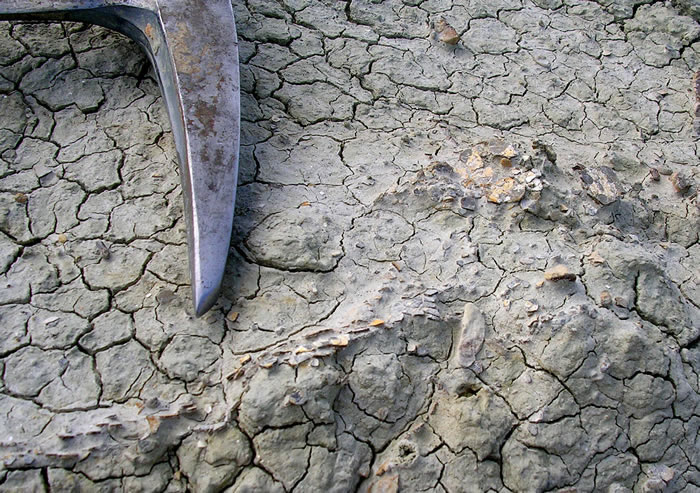 7500����ǰ��������ʯ��ʾ�����ڽ��������Ѿ߱����ҵ������µ�����