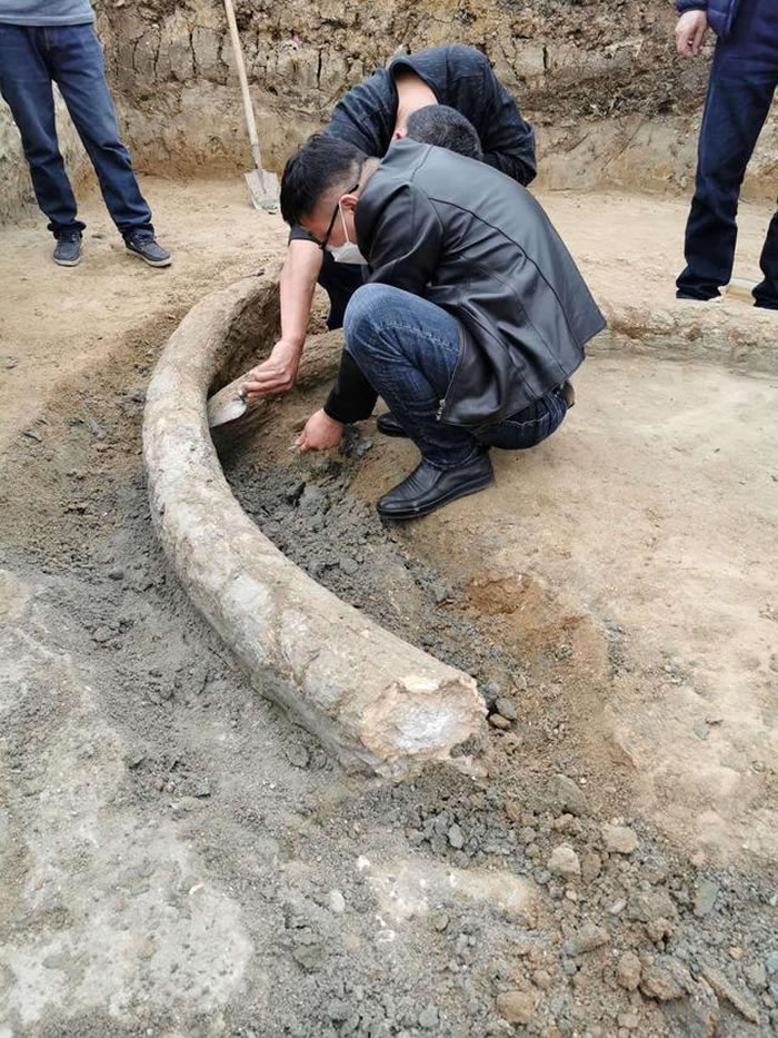 ��ʡ�������ƺ��غ�����կ�巢���һ�Ծ��5-20����ǰ������������ʯ