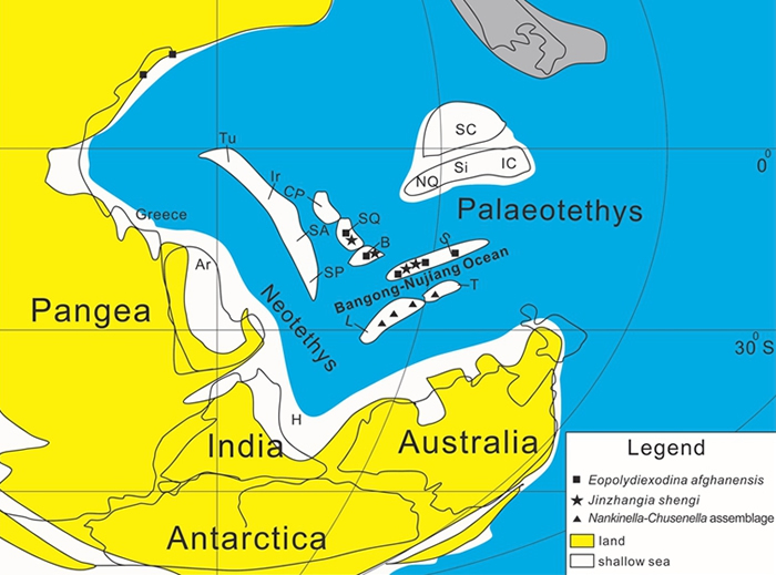 �ж������ŵ����ؽ�ͼ����Ҫ������ӵķֲ�ͼ