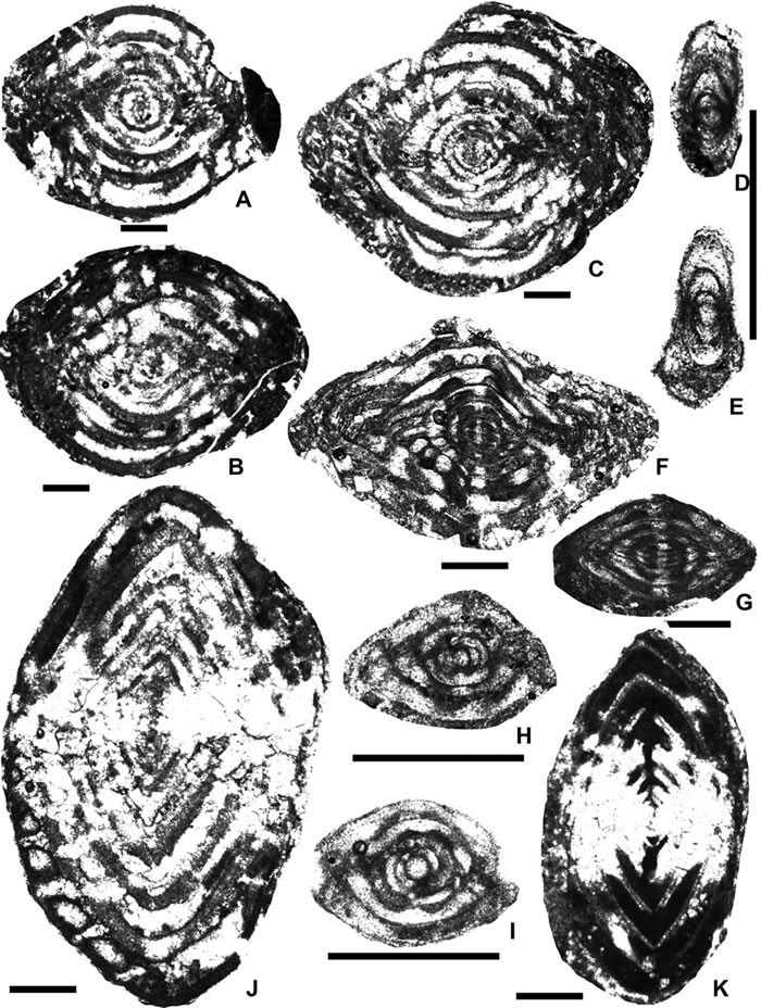 �����ԭ�ж���ͳThitisipin���еĲ������໯ʯ