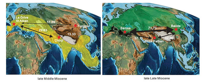 ������������������ŷ�ޣ����ǺͶ���ʳ��ĿȺ��Աȡ�Czekanowskiָ��Խ�ߴ���������Խ��