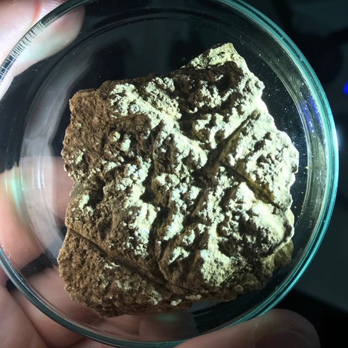 ӡ��������������������ѨʯƬ�Ϸ���������ʷ������ϵ�̻� ���26000��