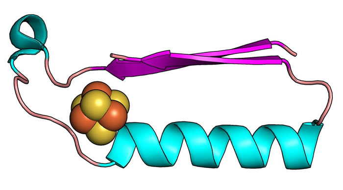 Ӣ����ѧ�ҷ���35�ڵ�25����ǰ�����������������������������л������