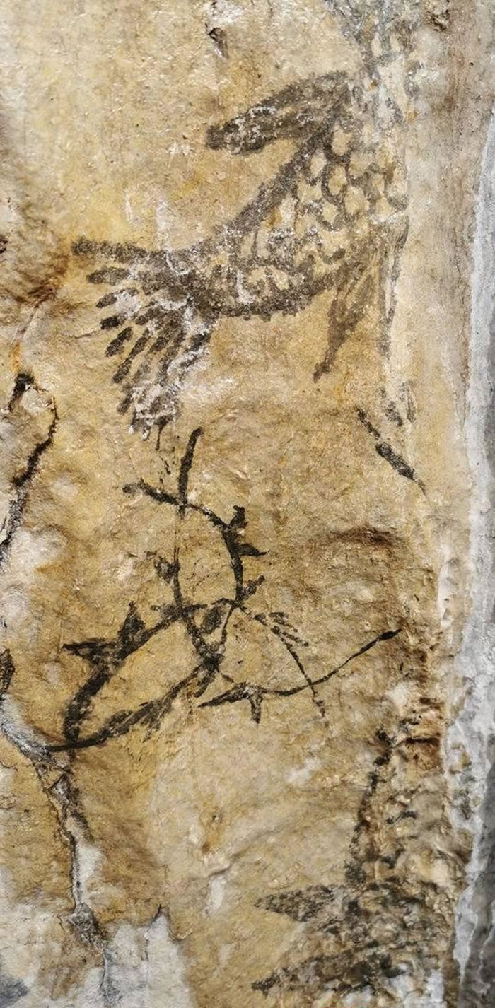 �Ĵ����ݹ��������㶴�����ֹ��һ�����ʯ