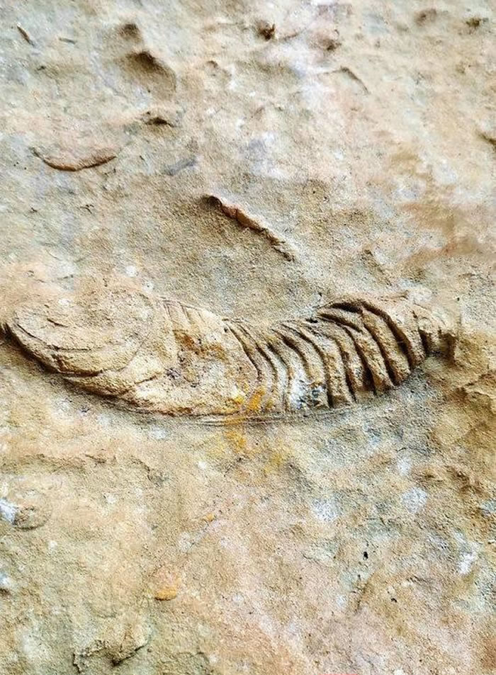 �Ĵ����ݹ��������㶴�����ֹ��һ�����ʯ