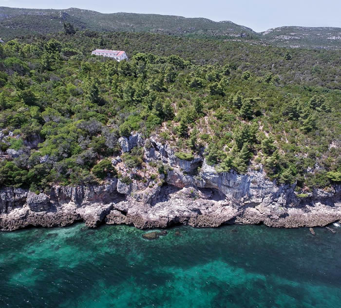 ŷ���ᰲ�����˶Ժ���������̶ȿ��ȷ������ڵ��ִ���