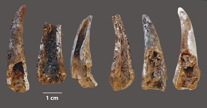 ŷ���ᰲ�����˶Ժ���������̶ȿ��ȷ������ڵ��ִ���