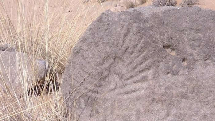 ���ɹŰ��������찢���ڰ���������պ��²龳���·��ֲ����ո��������һ�Ⱥ��ַ