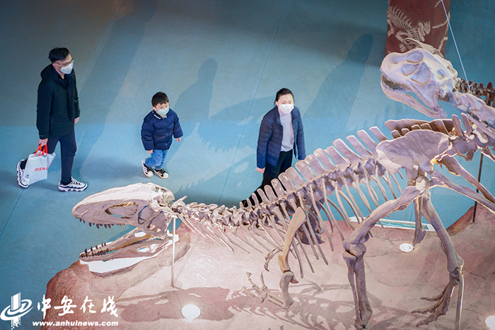 3月27日安徽省地质博物馆恢复开放