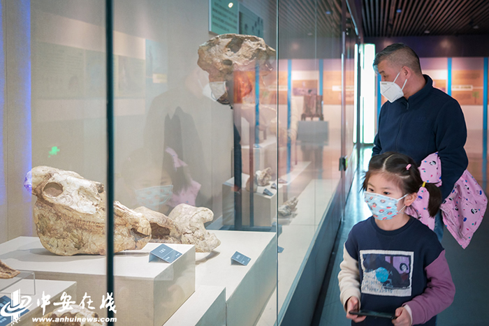 3月27日安徽省地质博物馆恢复开放