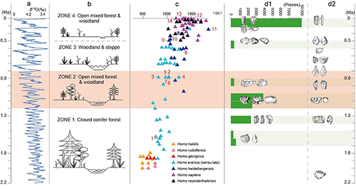 򻷾չ弰ַʯĻʯϼͼ