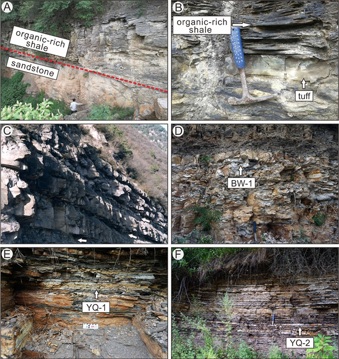 �о�����������ԺͶ����λ��Ƭ