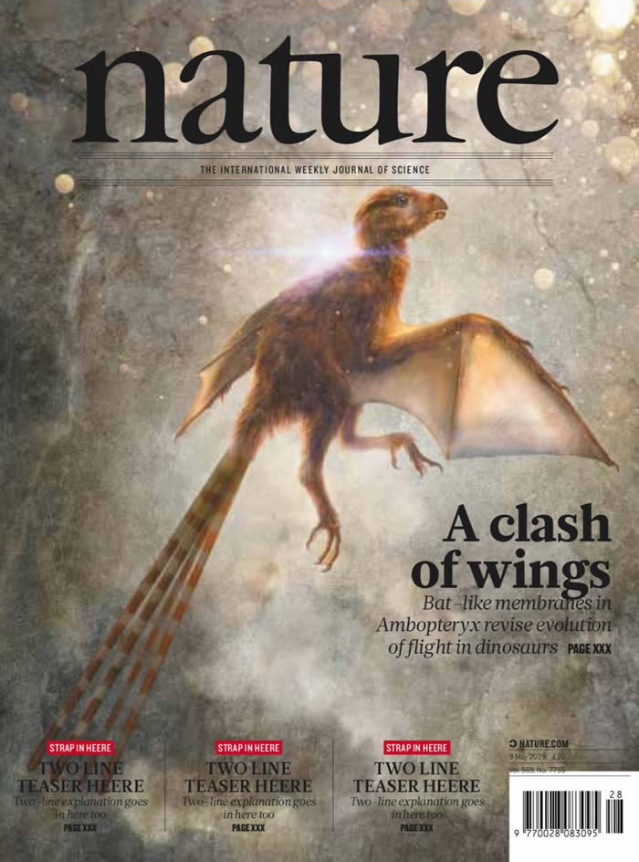 ���ۻ�Ԫ����ԭͼ�͵��ڡ���Ȼ����־����