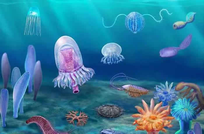 ���彭����Ⱥ����ԭͼ