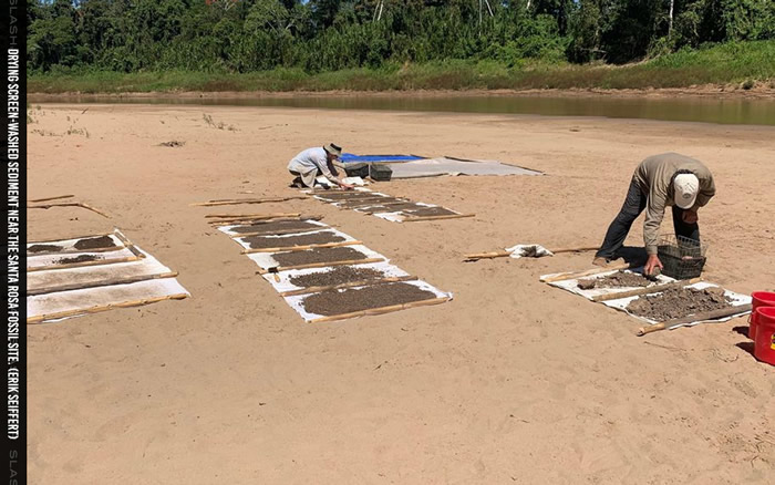 ���ݻ�ʯ�о���ʾ�в�ͬ��Զ�ź��Ӵ�Խһ��Ƭˮ�����´�½�������