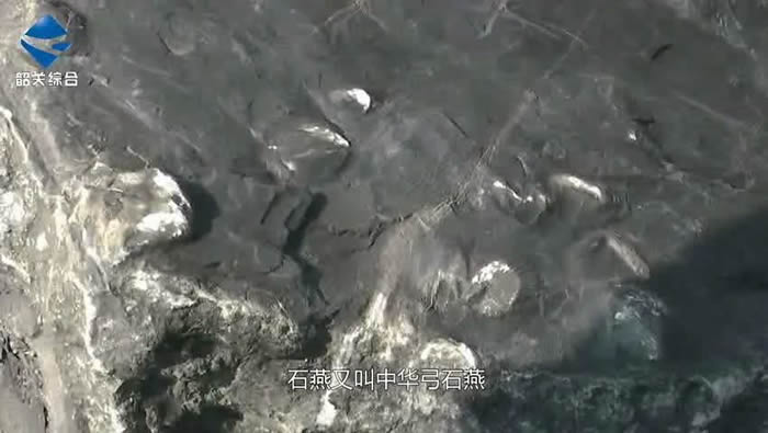 �㶫ʡ�ع����佭��������3.65����ǰ����ʯȺ�������ش���