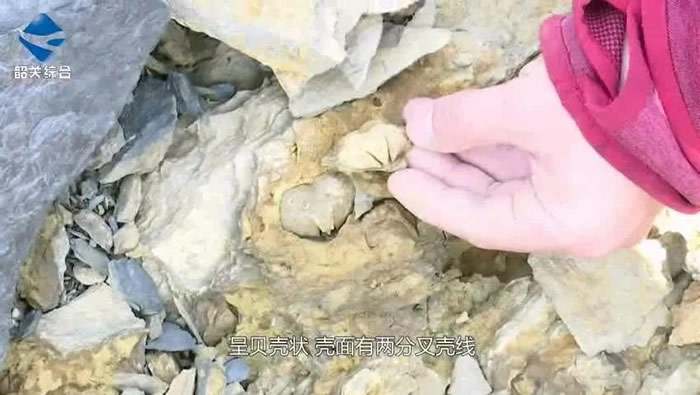 �㶫ʡ�ع����佭��������3.65����ǰ����ʯȺ�������ش���