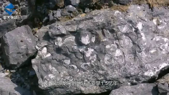 �㶫ʡ�ع����佭��������3.65����ǰ����ʯȺ�������ش���