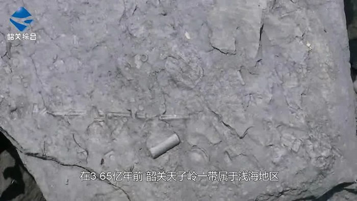 �㶫ʡ�ع����佭��������3.65����ǰ����ʯȺ�������ش���