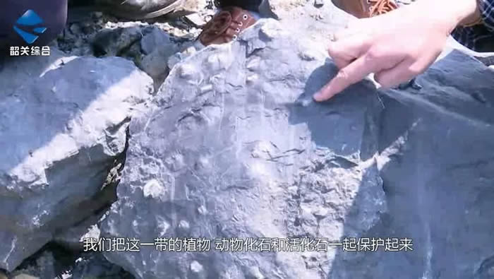 �㶫ʡ�ع����佭��������3.65����ǰ����ʯȺ�������ش���